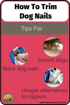 the instructions for how to trim dog nails are shown in this poster, with pictures of dogs