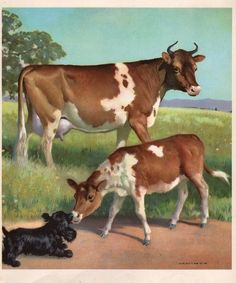 two cows and a dog are standing in the grass