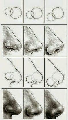 how to draw nose step by step for beginners, with pictures and text below