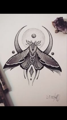 a drawing of a moth sitting on top of a piece of paper next to a pen