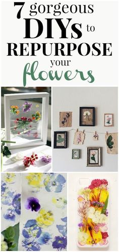 flowers are arranged on the wall and in frames with text that reads 7 gorgeous diy's to repurpose your flowers