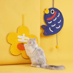 a cat looking at a blue fish hanging from a hook on a wall next to a yellow flower