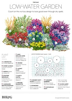 a garden with different types of flowers and plants in the planter's guide