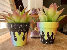 two potted plants sitting on top of a wooden table covered in paint and sprinkles