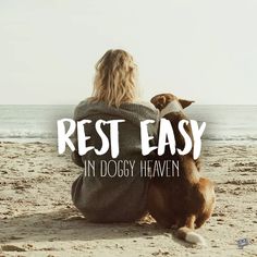 a woman sitting on the beach with her dog looking out at the ocean and text reads rest easy in doggy heaven