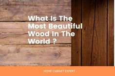 a wooden door with the words what is the most beautiful wood in the world?