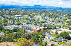 an aerial view of a city with lots of trees and mountains in the back ground