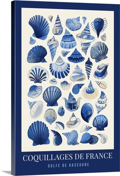 a book with blue and white illustrations on the cover, titled coquillages de france