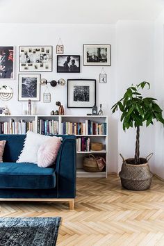 a living room with a blue couch and bookshelf filled with pictures on the wall