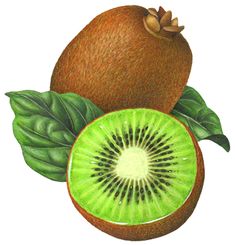 a drawing of a kiwi fruit with leaves on it's side and one cut in half