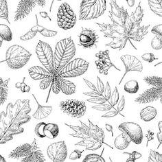 seamless pattern with leaves and acorns