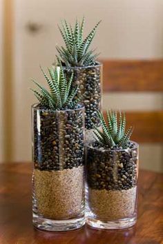 two glass vases filled with plants on top of a wooden table