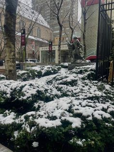 snow is covering the ground and trees in front of buildings