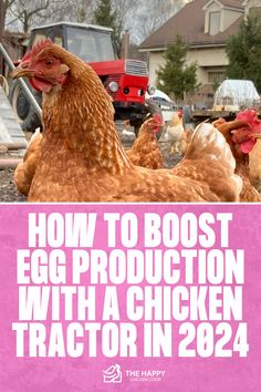 Why Using Chicken Tractors Makes My Chickens Lay More Eggs | The Happy Chicken Coop Chicken Tractor, Teaching Life Skills