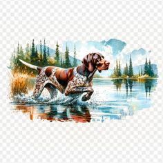 a painting of a dog running in the water