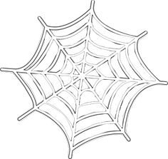 a spider web on a white background