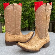 In Excellent Pre Owned Condition Leather & Ostrich Upper & Leather Soles. Made In Mexico Size : Usa 5.5 Mex 24.5 What You See Is What You Will Get Thank You Shoes Boots Combat, Mens Cowboy, Harness Boots, Ostrich Leather, Cowboy Western, Mens Shoes Boots, Western Cowboy Boots, Western Cowboy, Work Boots