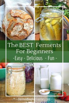 the best ferments for beginners easy - delicious - fun pickles and more