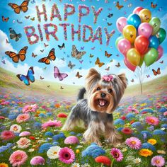 a happy birthday card with a yorkshire terrier in a field full of flowers and butterflies