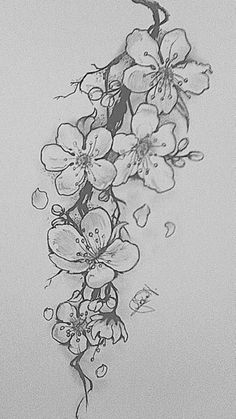 a pencil drawing of flowers on a sheet of paper with water drops falling off the petals