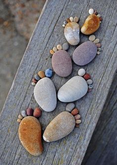 some rocks are arranged in the shape of an animal's paw on top of a piece of wood