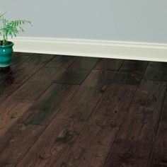 a potted plant sitting on top of a wooden floor next to a white wall