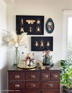 a dresser with some bottles on top of it next to plants and pictures hanging on the wall