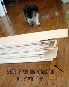 a small dog standing next to a pile of plywood cut boards on the floor