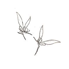 Fairy Doodle Tattoo, Fairy Sketch Tattoo, Fairy Doodle Aesthetic, Cool Earthy Tattoos, Protect Peace Tattoo, Fairy Tattoo Collarbone, Tattoo Of Freedom, Dainty Dragon Fly Tattoo, Fairy Wrist Tattoo