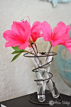 three pink flowers are in a clear vase