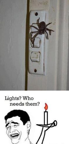 the light switch has a spider on it's side and says, lights who needs them?