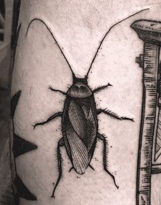 a black and white photo of a bug on the leg