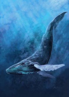 a painting of a humpback whale swimming in the ocean