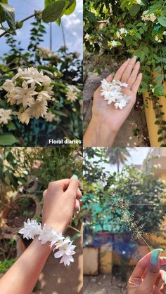 the hands are holding white flowers in different positions