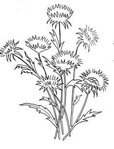 a drawing of some flowers on a white background