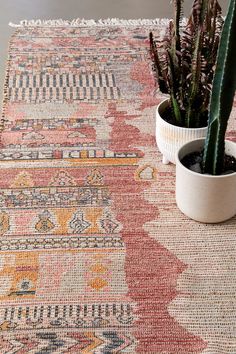 a potted plant sitting on top of a rug