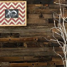 a wooden wall with some branches and a picture frame on it, next to a tree