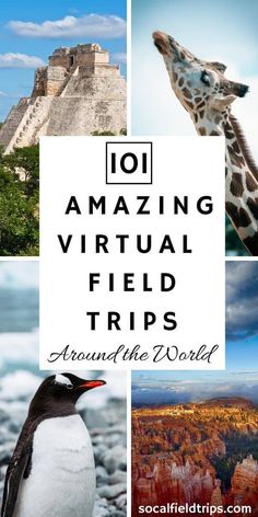 an image with the words 101 amazing virtual field trips around the world in black and white