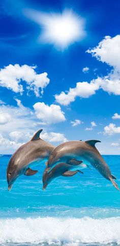 two dolphins are jumping in the air above the ocean water on a sunny day with blue skies and white clouds