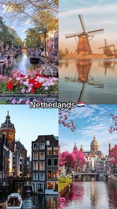 four different pictures with flowers and windmills in them