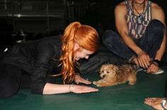 a woman is petting a small dog on the floor while others look at her