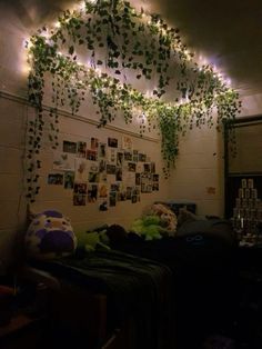 the room is decorated with hanging plants and pictures on the wall, along with stuffed animals