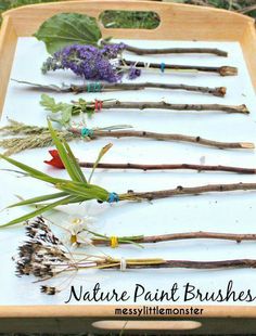 a wooden tray filled with lots of different types of twigs and flowers on top of it