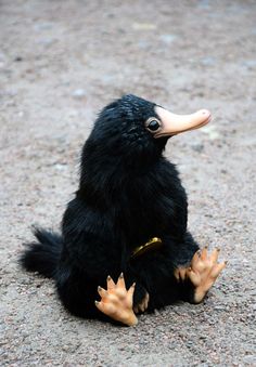 a stuffed bird sitting on the ground