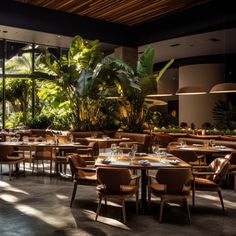 an empty restaurant with tables and chairs in front of large windows overlooking the jungle outside