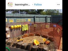 there is a small playground with lots of toys in the yard and trees around it