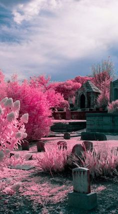 a cemetery with pink trees and tombstones in the foreground, on a cloudy day