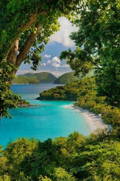 the blue water is surrounded by lush green trees