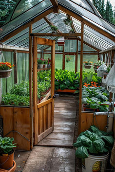 a small greenhouse with lots of plants growing in it