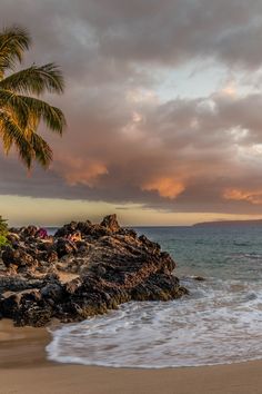 a beach with palm trees and people laying on the rocks near the water at sunset